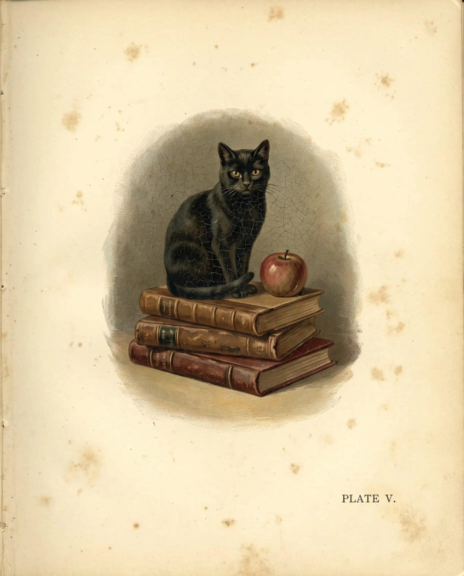 Antique Book Plate, A painted vignette on aged stock, sitting alone in the middle of the page