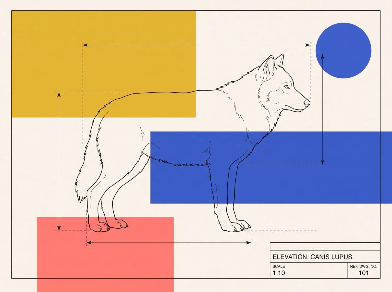 Blueprint Colour Block, A technical drawing with flat colour rectangles laid over the top