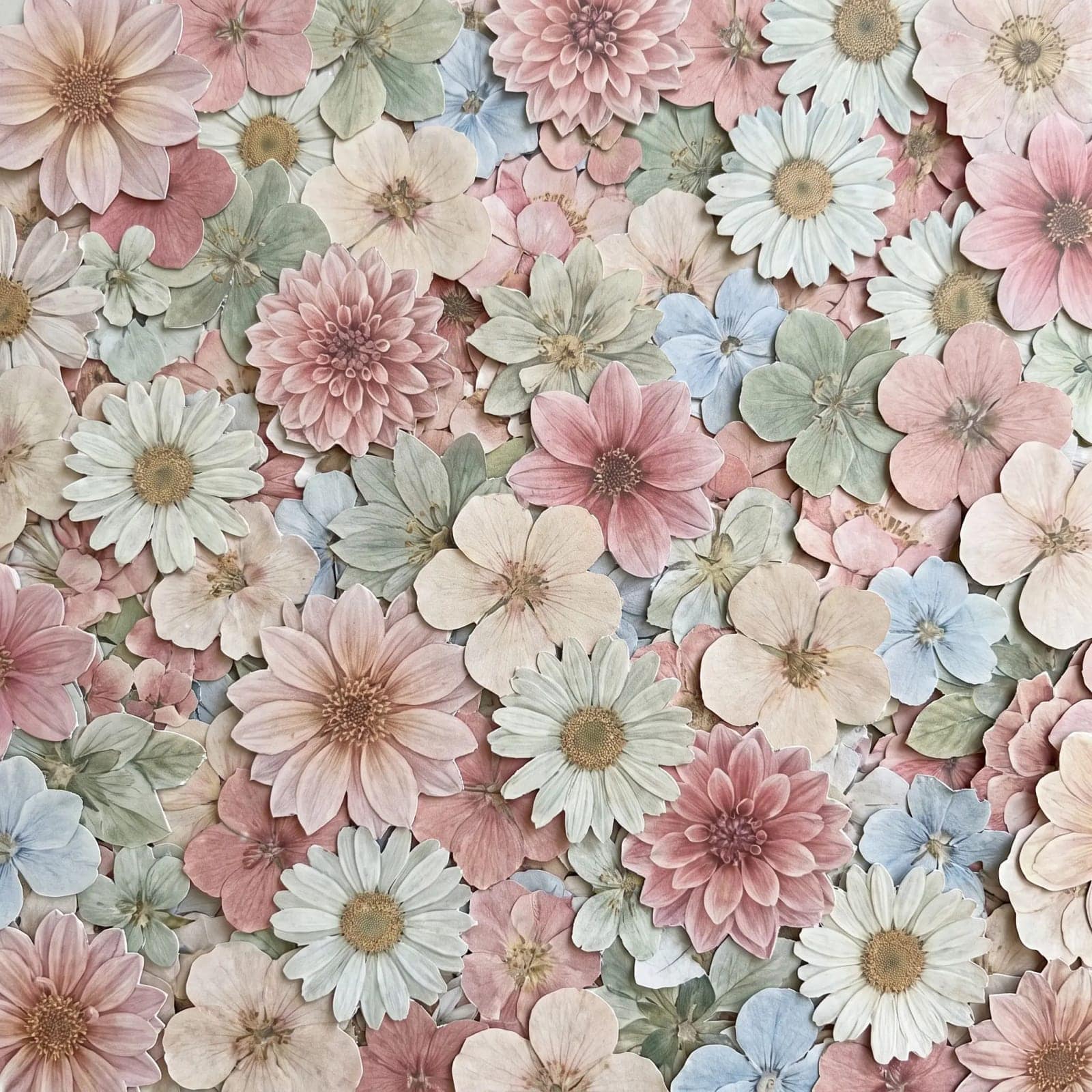 Botanical Collage, Hundreds of cut flowers layered until there is no background left