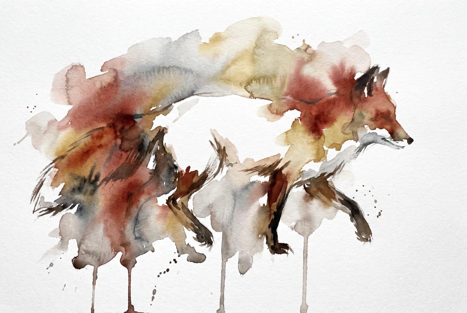 Loose Watercolour Animal, An animal painted in wet washes that run past where it should end