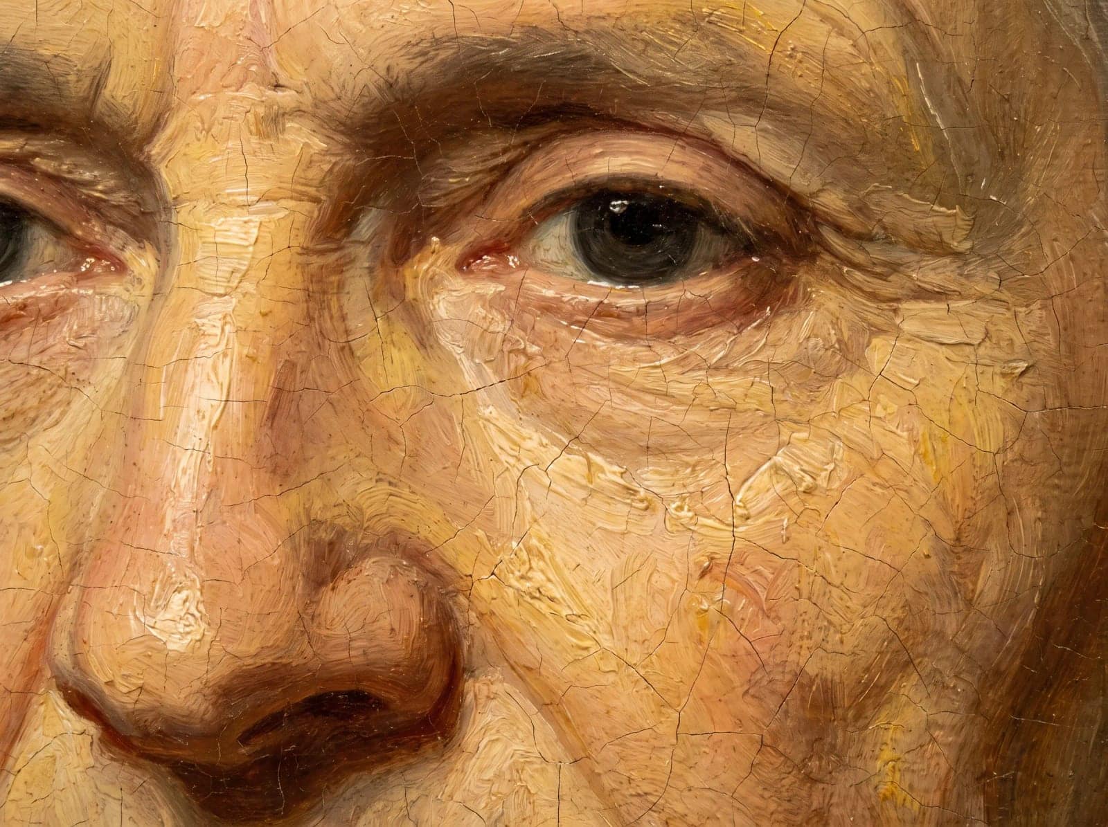 Old Master Detail Crop, A painting photographed so close you see the cracks before the face