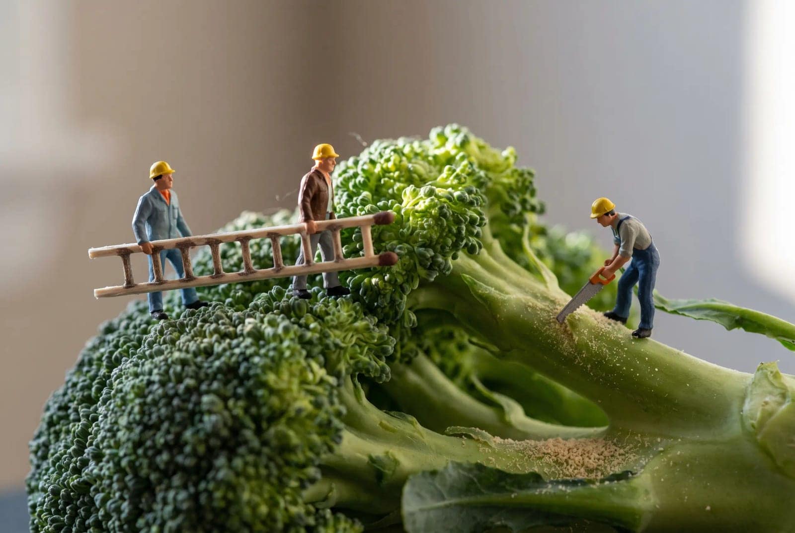Tiny People Macro, Model railway figures living their lives on everyday objects